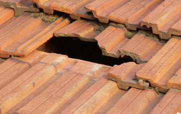 roof repair Radcot, Oxfordshire